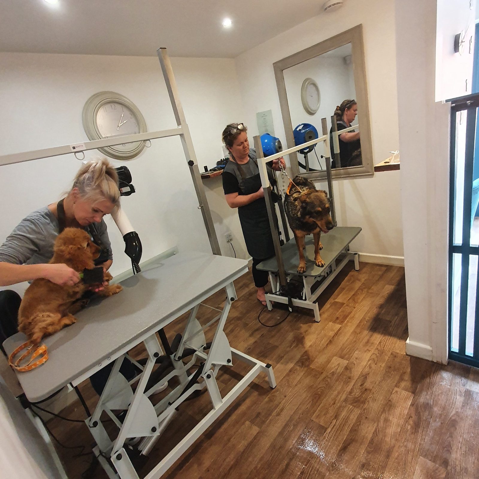 Inside the Spruced Up salon — a groomer working calmly with a dog on the table